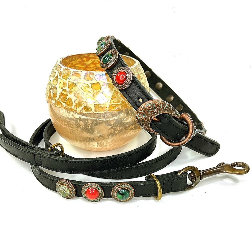 Copper Medallion Black Leather Collar and Leash